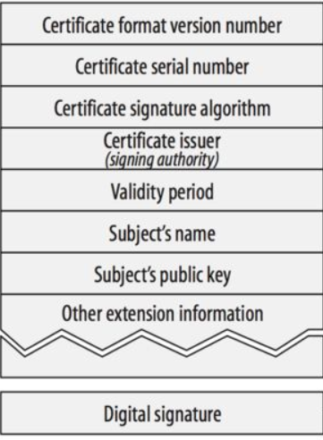 image-20200517122333529